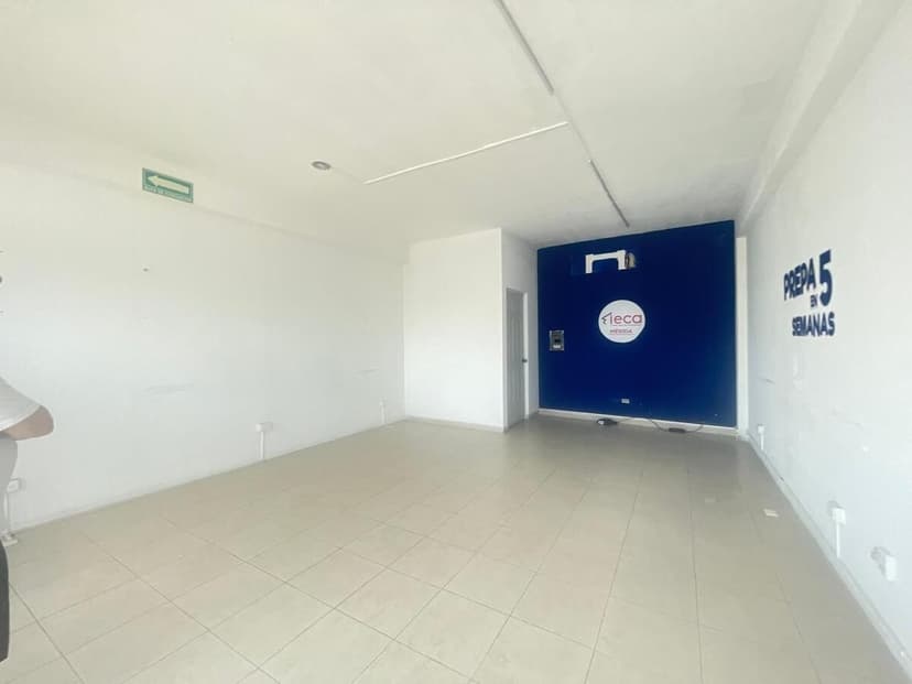 Gallery main