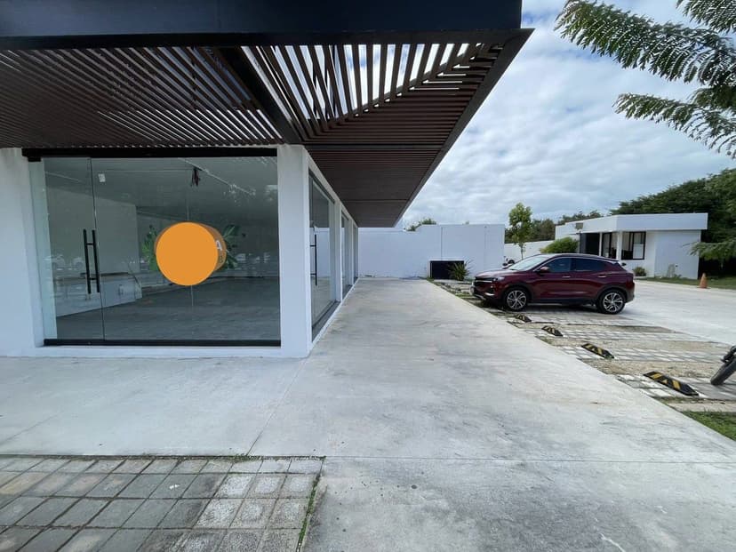 Gallery main