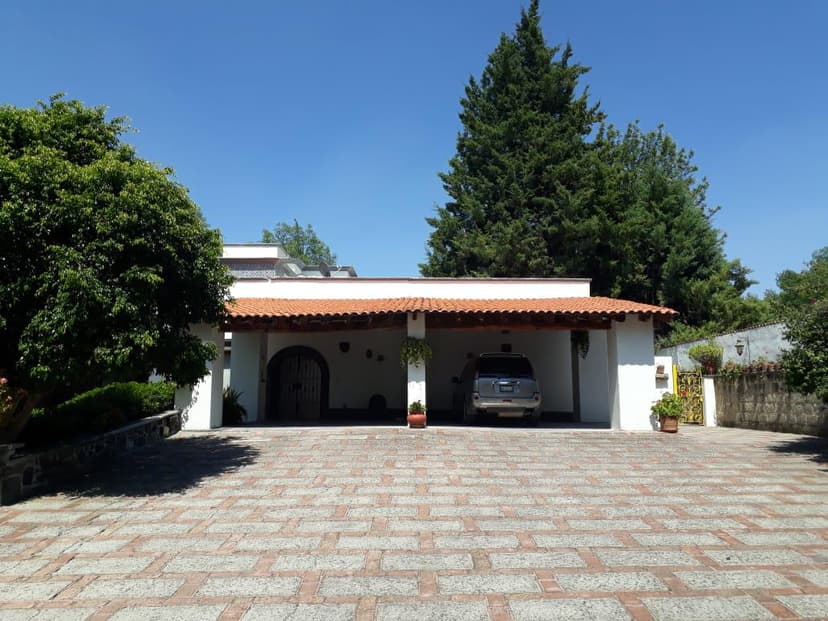 Gallery main