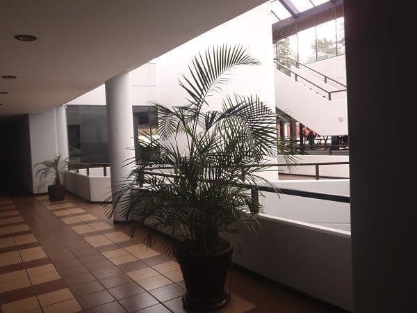 Gallery main