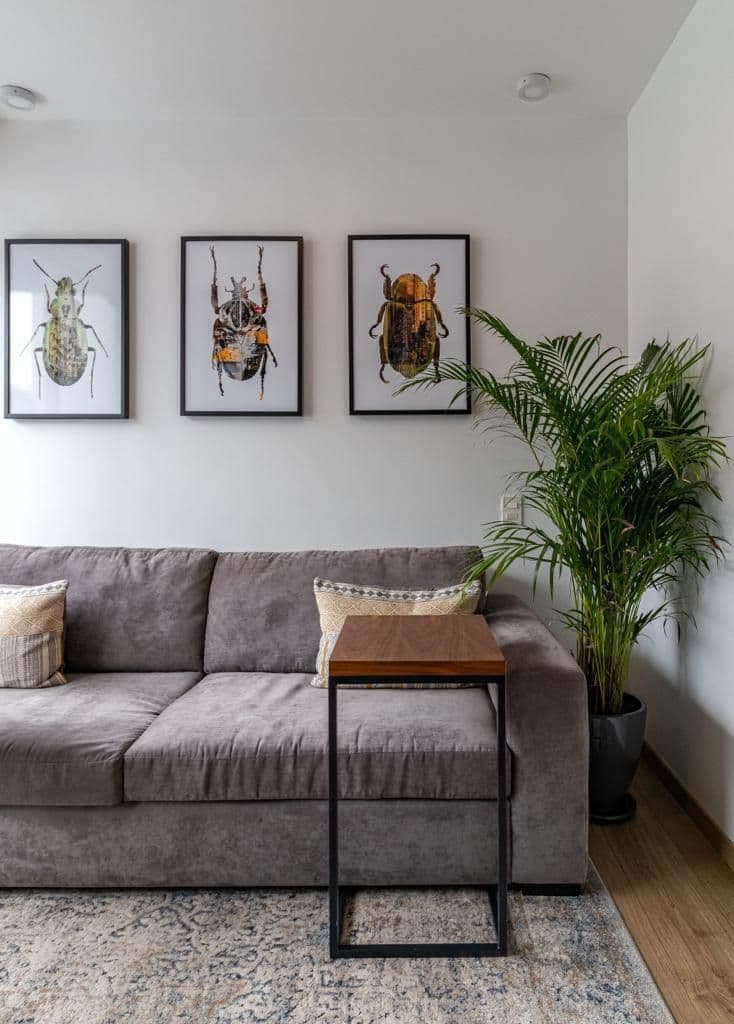 Gallery preview 2