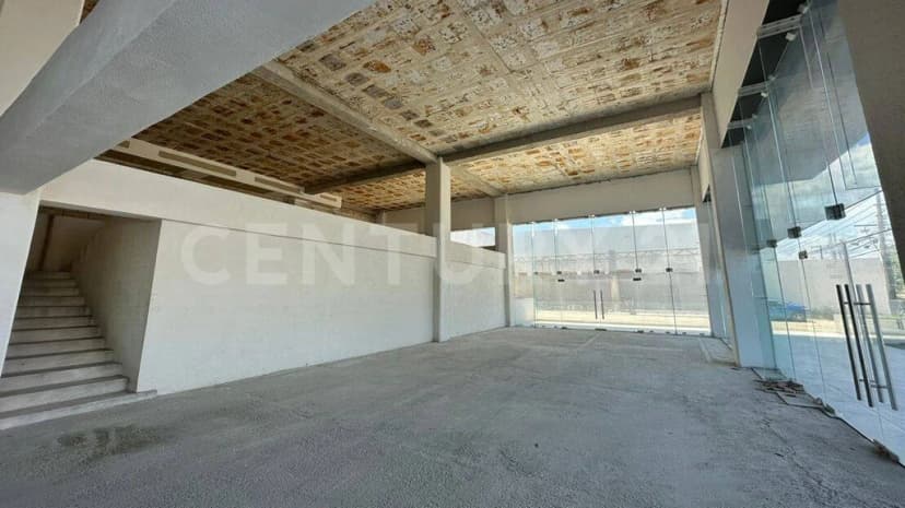Gallery main