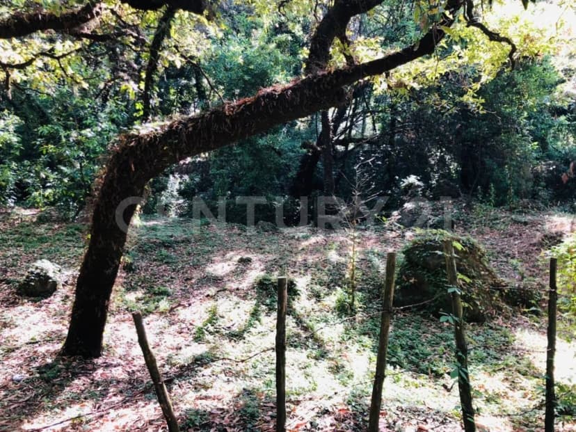 Gallery preview 2