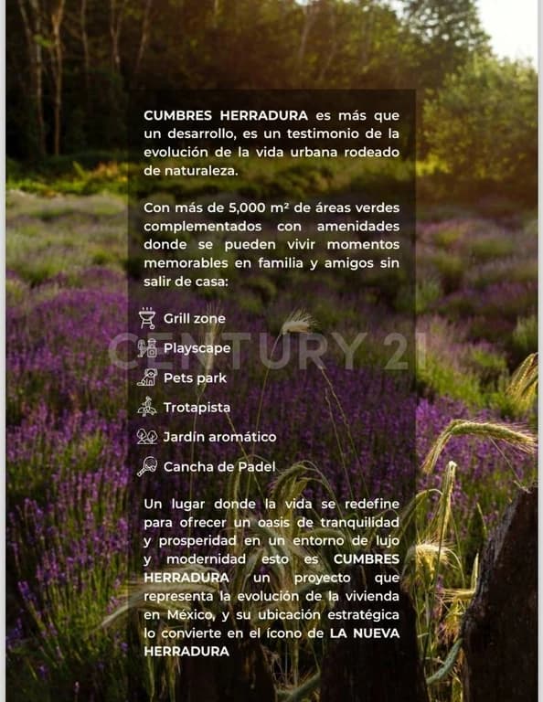 Gallery preview 2