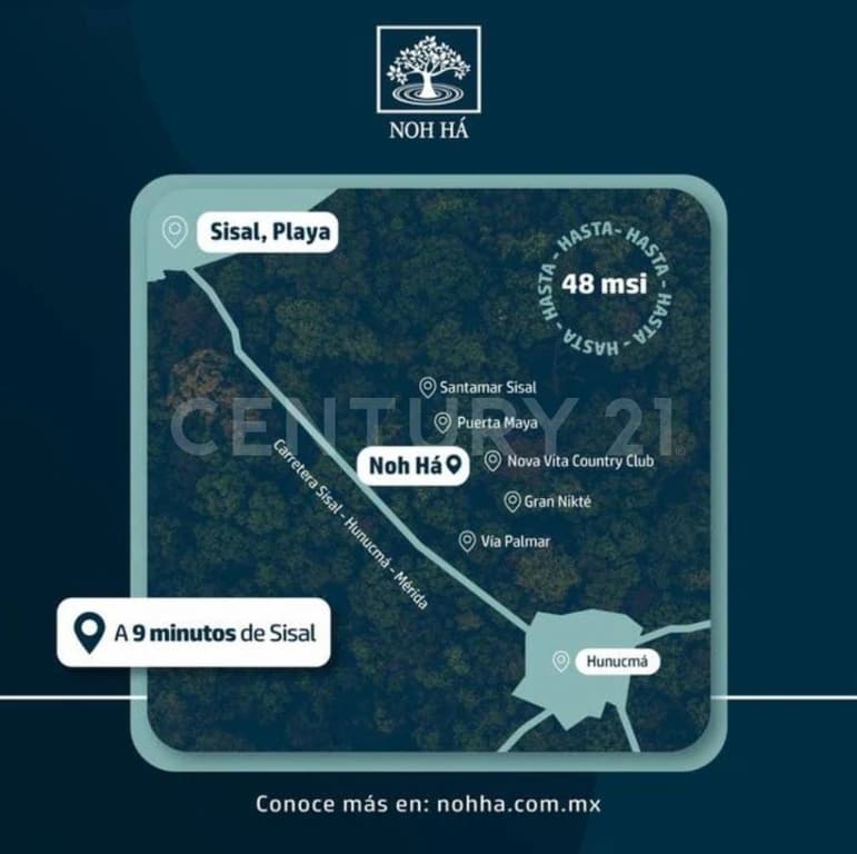 Gallery preview 3