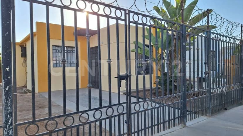 Gallery main