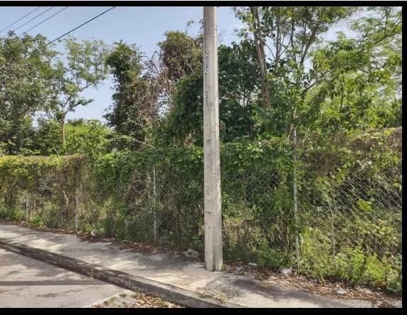Gallery preview 3