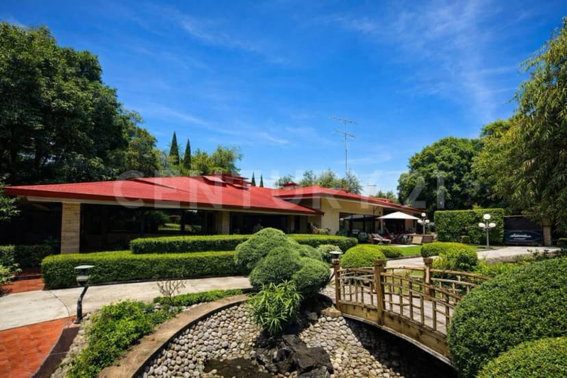 Gallery main