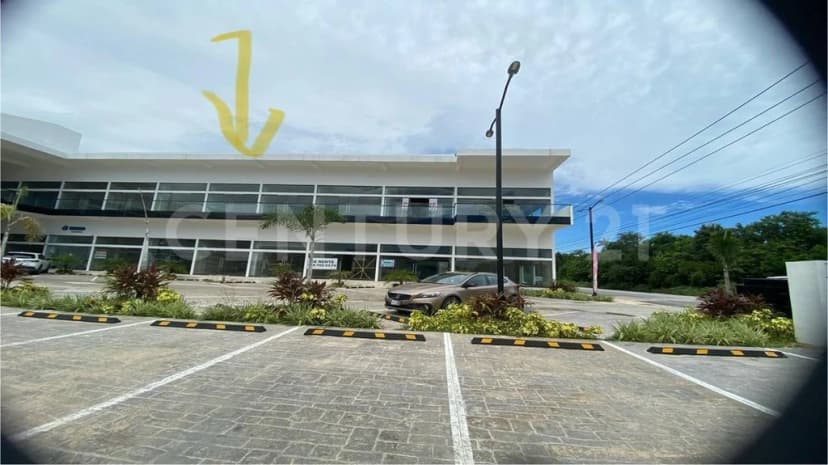 Gallery main