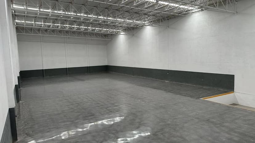 Gallery main