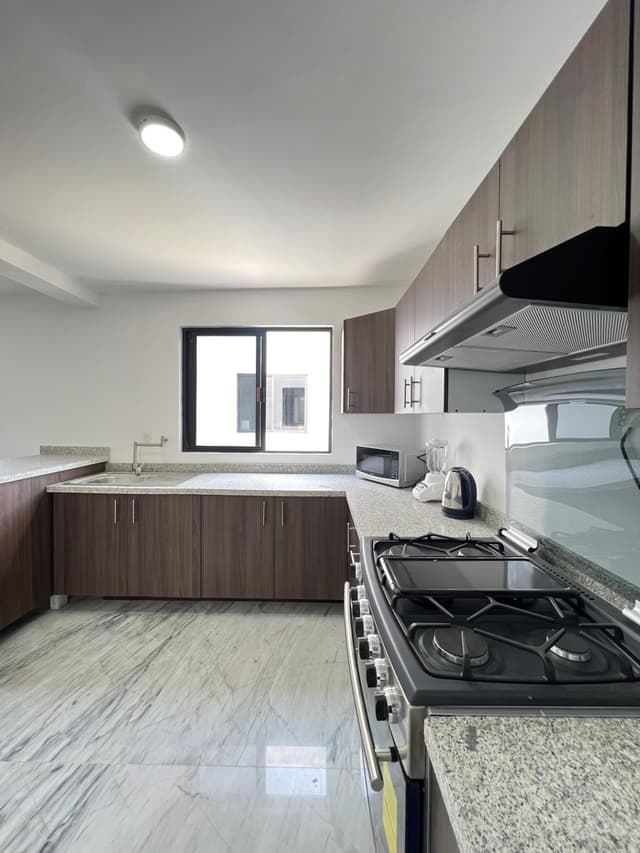 penthouse en san pedro de los pinos