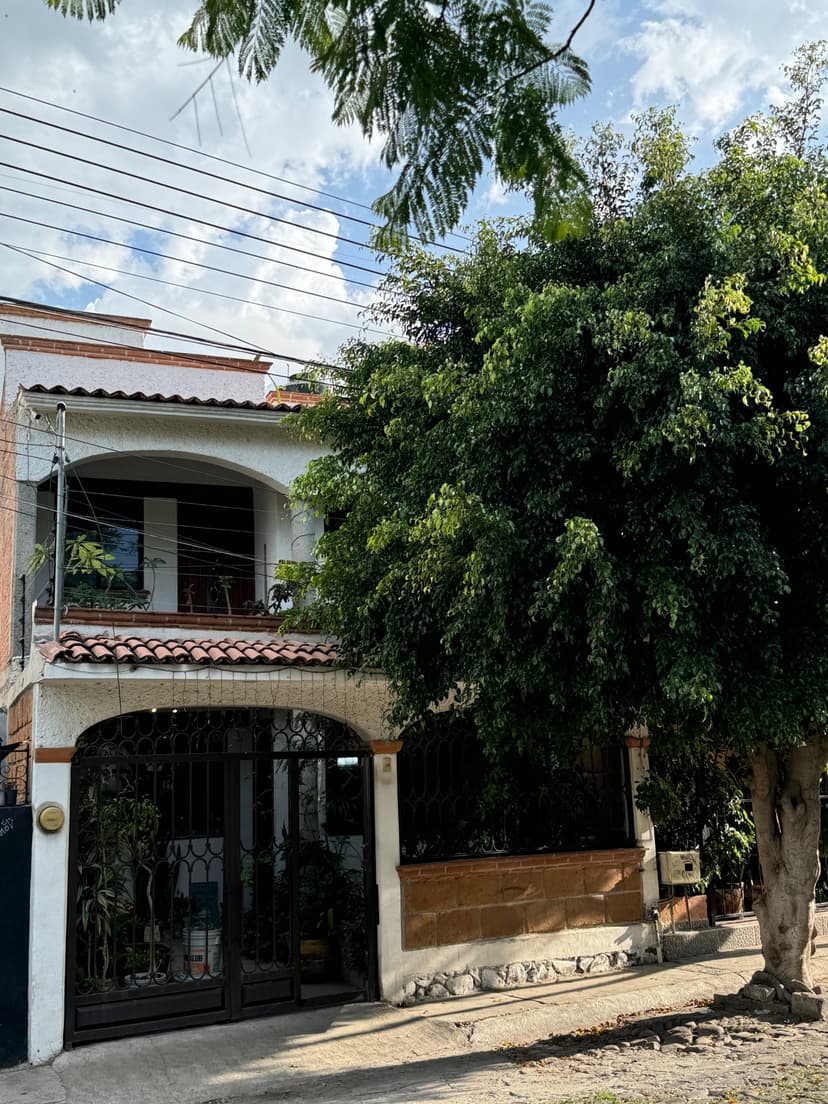 Gallery main