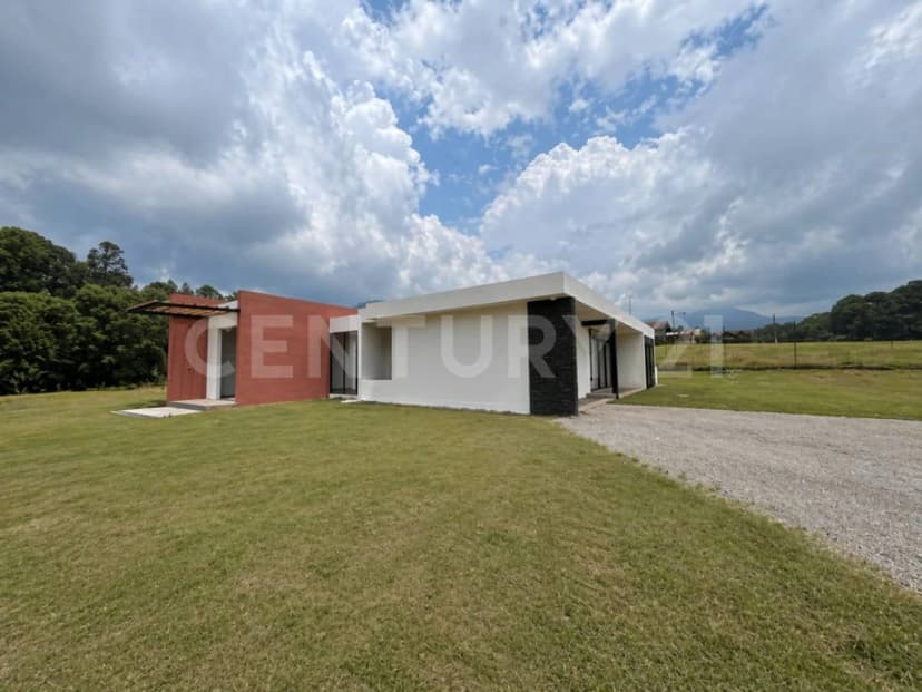 Gallery main