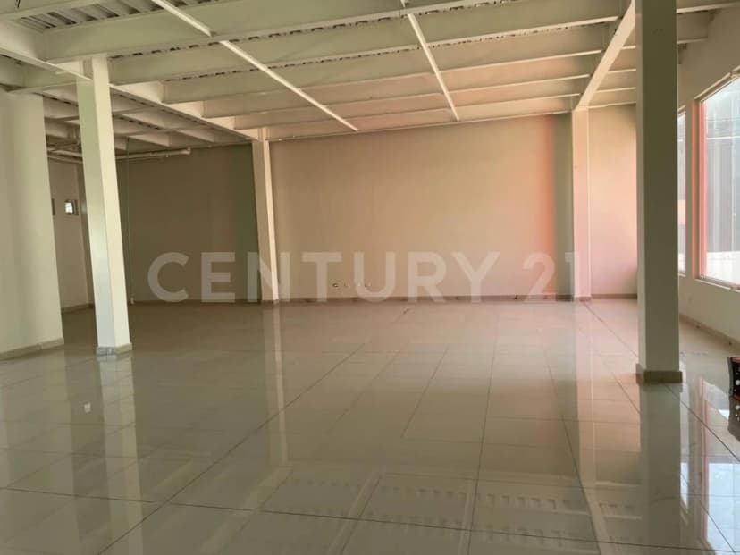 Gallery main