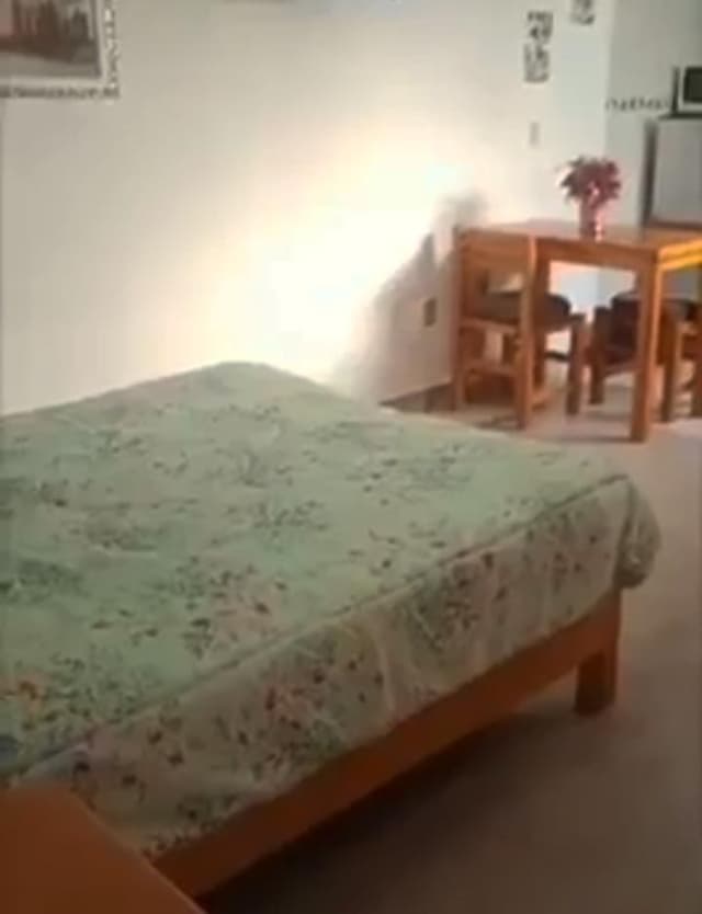 Departamento Loft Amueblado en renta en Oregon 6386, Kennedy, Monterrey