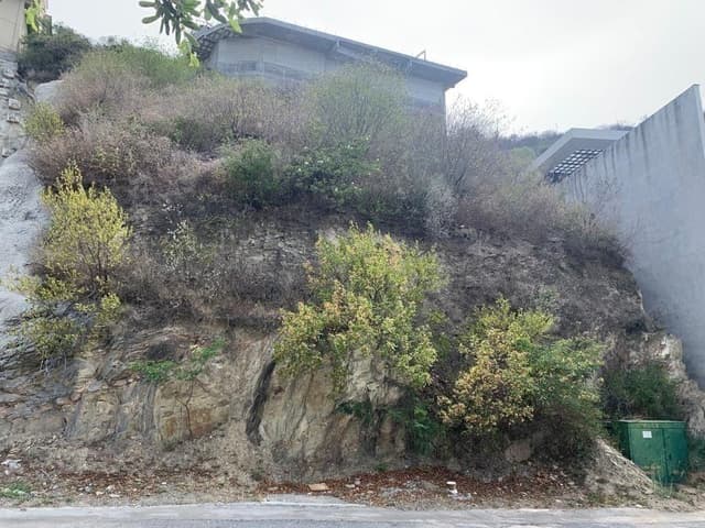 TERRENO EN VENTA EN SAN AGUSTIN CAMPESTRE