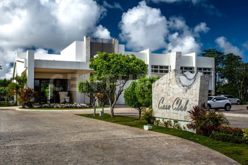 Gallery main