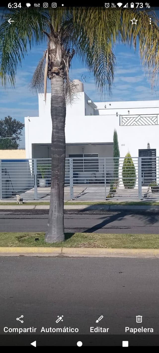 Se vende Casa en el Fraccionamiento Valle de las flores