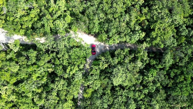 Terreno con Selva espectacular en Tulum