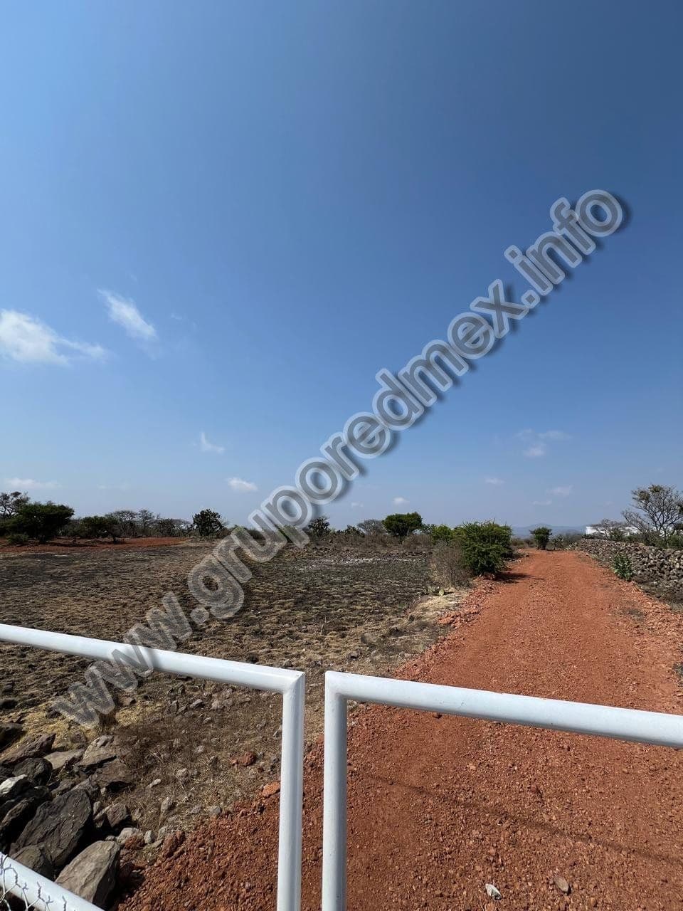 Fotos adicionales