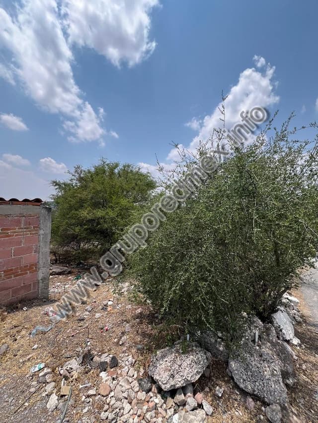 Terreno 1 Semiurbano en San Juan del Rio Qro a 500m de la carretera Mex-Qro