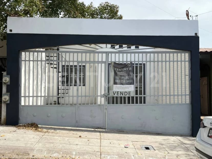 Gallery main