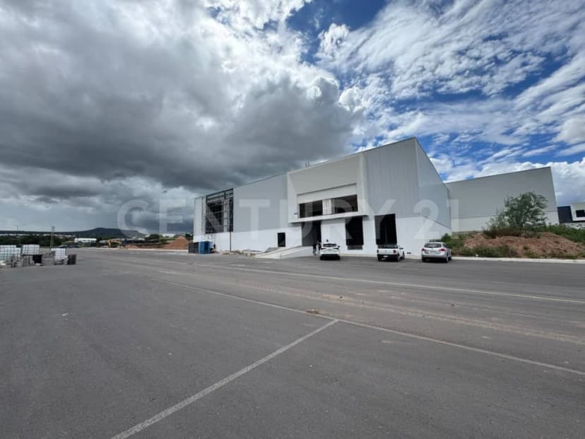 Gallery main
