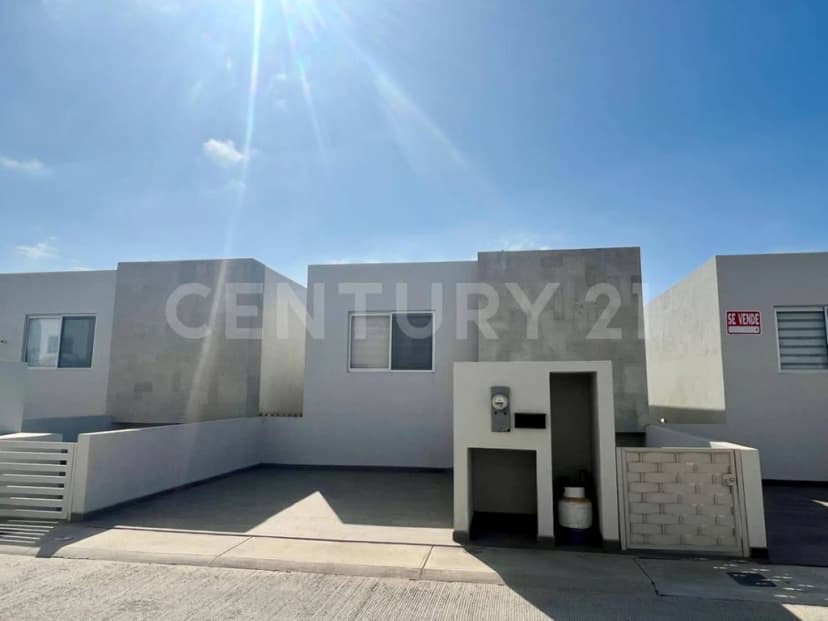 Gallery main