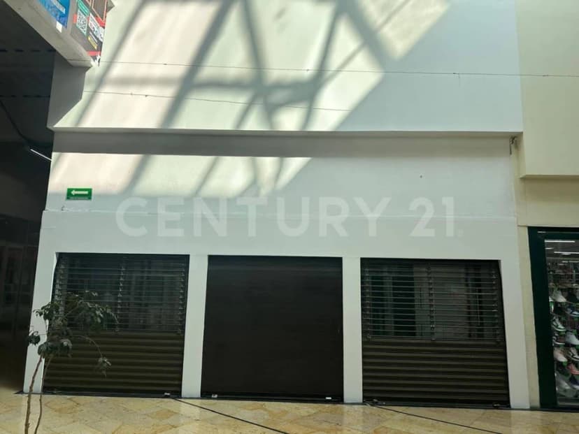 Gallery main