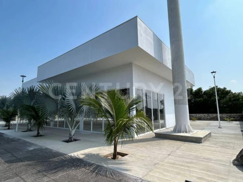 Gallery main