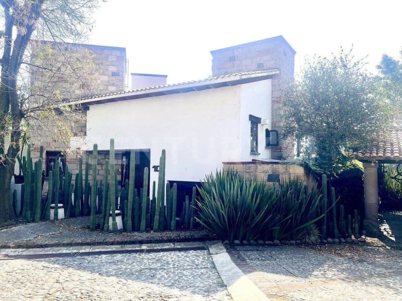 Gallery main