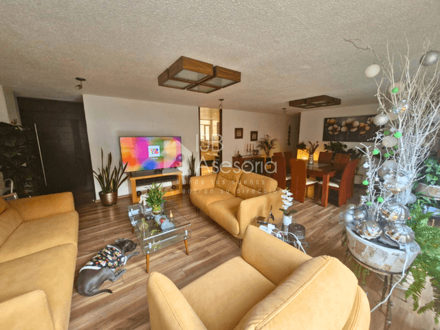 Departamento en renta en Del valle centro