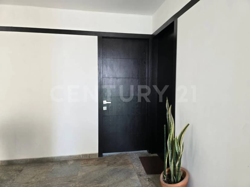 Gallery main
