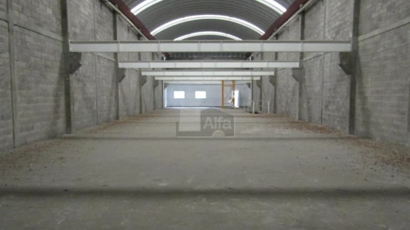 Gallery main