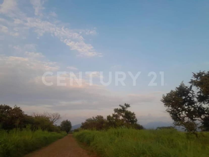 Gallery preview 3