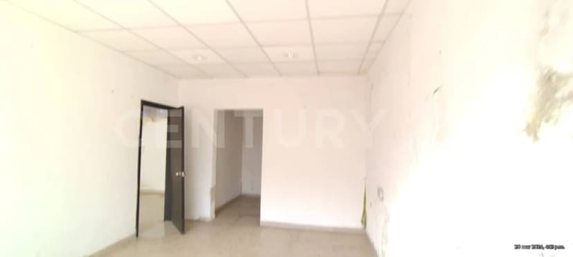 Gallery main
