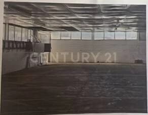 Gallery preview 3