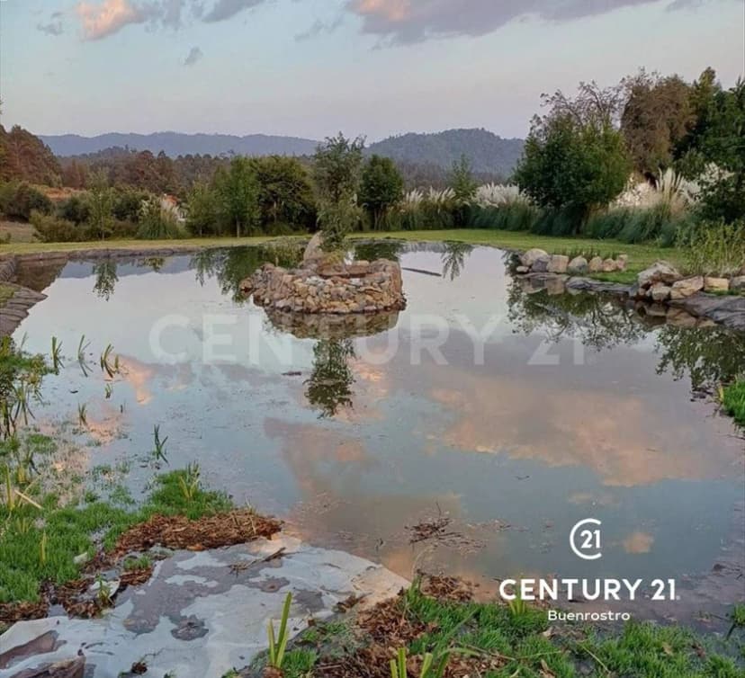 Gallery preview 3