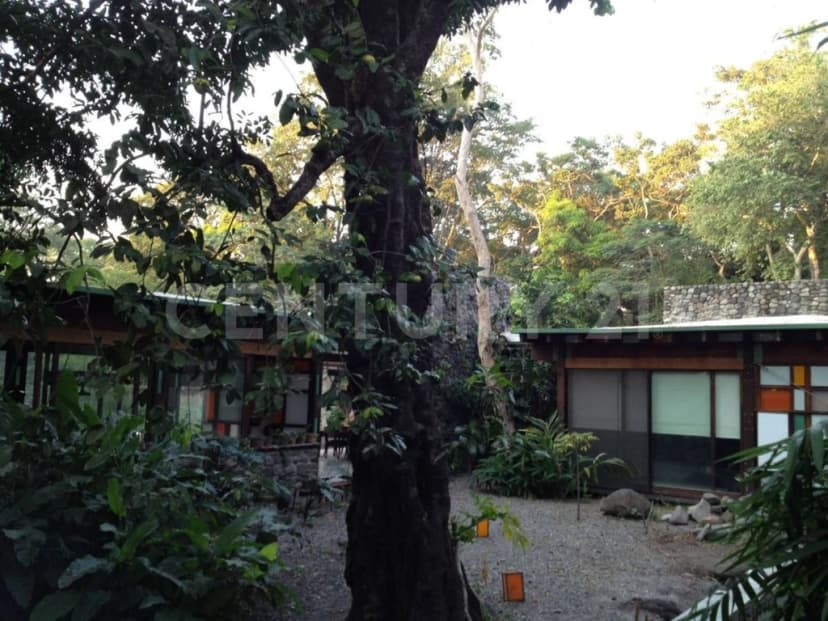 Gallery main