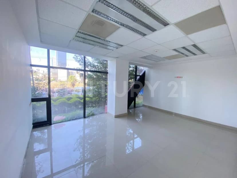 Gallery main
