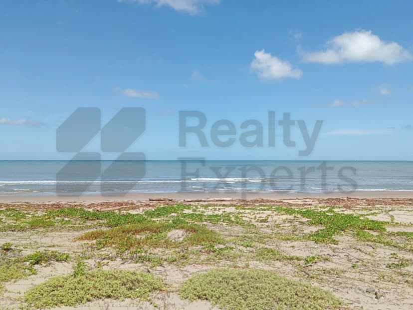 Gallery main