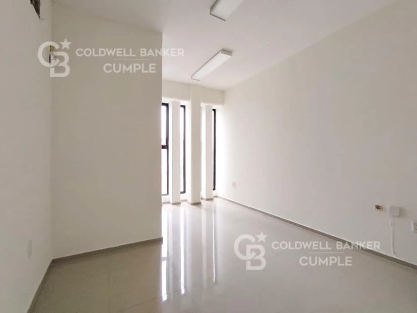 Gallery main