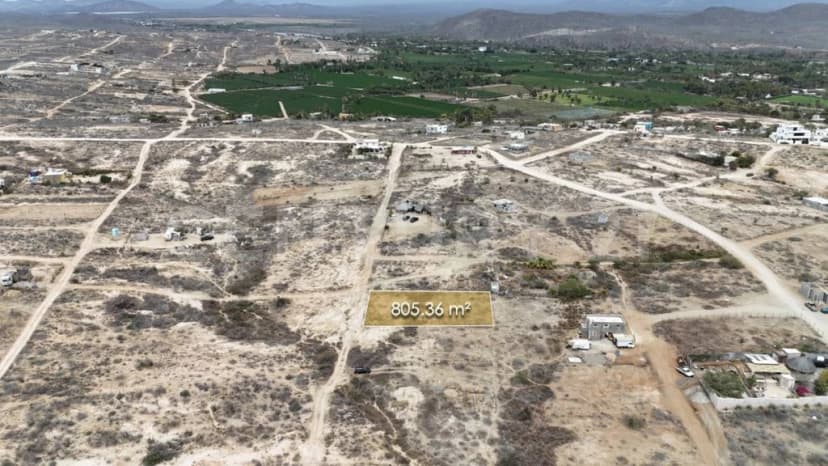 Gallery main
