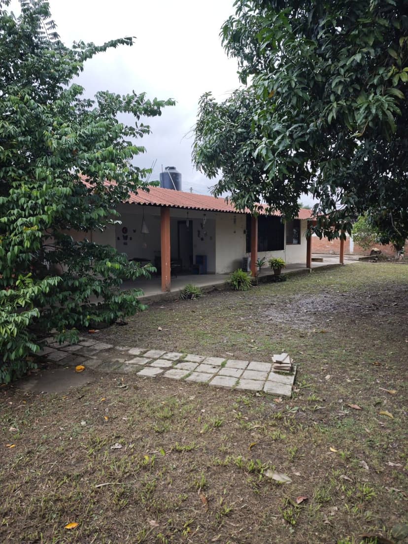 Gallery main