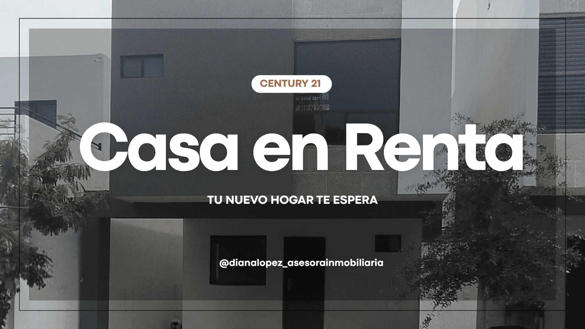 Fotos adicionales