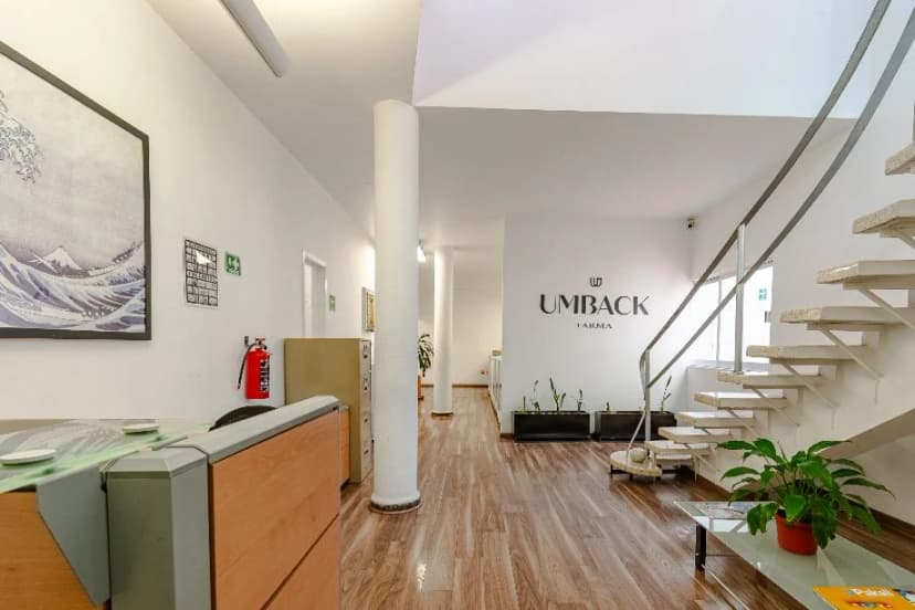 Gallery main