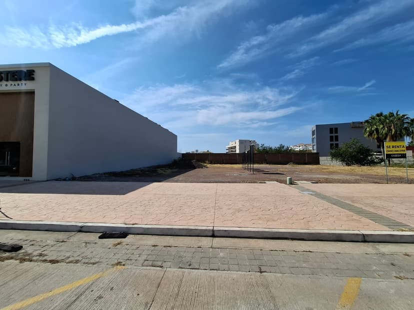 Gallery main