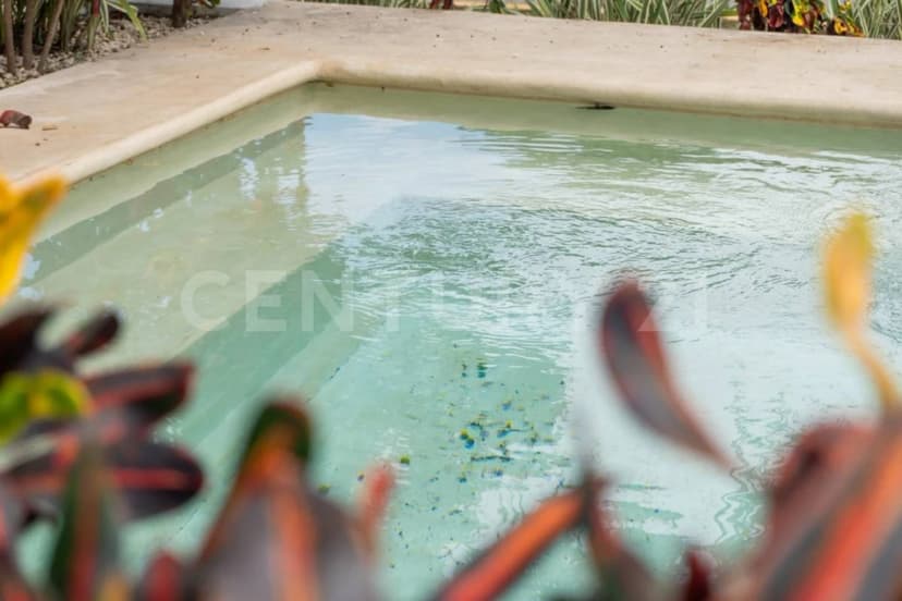 Gallery preview 2