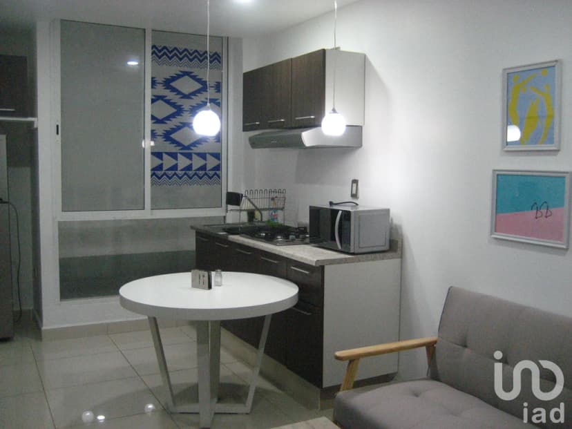 Gallery main