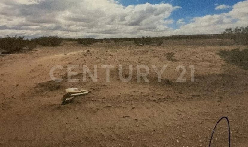 Gallery preview 3